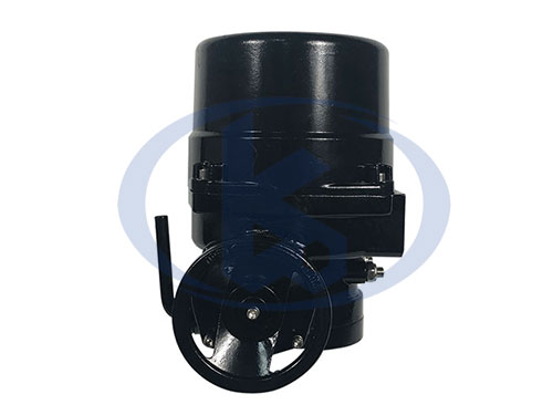 角行程電動執(zhí)行器（不帶閥門）