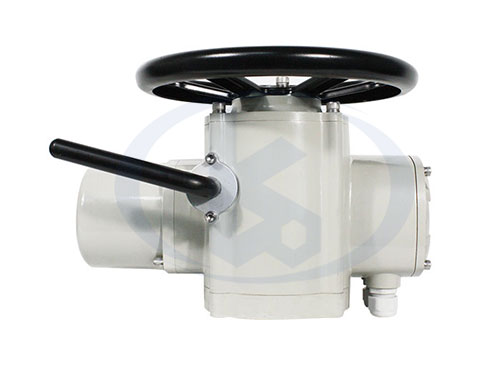 Z型多回轉(zhuǎn)電動執(zhí)行器