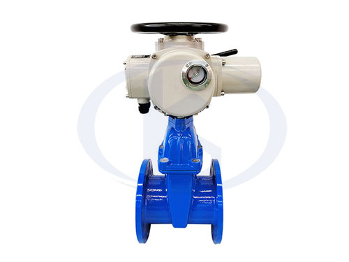 電動(dòng)暗桿閘閥